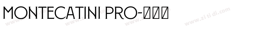 Montecatini Pro字体转换